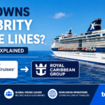 who owns celebrity cruise lines