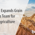 barchart grains