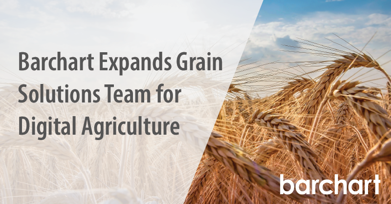 barchart grains